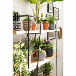 Studio Copenhagen Regal Anadyr - Schwarz / Esche -Buromobel Verkaufe 1000007393 181114 11415201 GALLERYIMAGES P000000001000007393