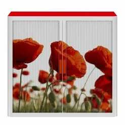 EasyOffice by Paperflow Rollladenschrank easyOffice Nature - Rot -Buromobel Verkaufe 1000071485 210831 09455500003 DETAILS P000000001000071485