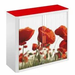 EasyOffice by Paperflow Rollladenschrank easyOffice Nature - Rot -Buromobel Verkaufe 1000071485 210831 09455500004 DETAILS P000000001000071485