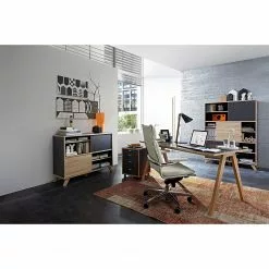 Germania Sideboard Svene - Anthrazit / Eiche Sonoma Dekor - Breite: 120 cm -Buromobel Verkaufe 1000166773 190329 13033300155 MOOD GALLERYIMAGES P000000001000166773 mood