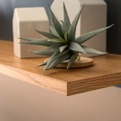 Mørteens Wandboard Lindholm - Eiche teilmassiv - Matt Grau -Buromobel Verkaufe 1000170822 200108 13510000011 DETAILS P000000001000170822