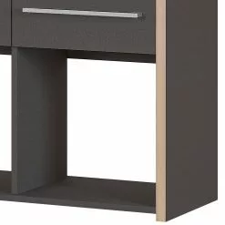 Germania Aktenregal Eugene - Anthrazit / Nussbaum Dekor -Buromobel Verkaufe 1000189458 191113 10262600012 DETAILS P000000001000189458