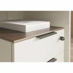 Germania Büroset Ancona I (2-teilig) - Metall - Kaschmir / Nussbaum Dekor -Buromobel Verkaufe 1000197004 191203 06450000095 DETAILS P000000001000197004