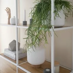 Fredriks Regal Meon III - Eiche Dekor - Breite: 101 cm -Buromobel Verkaufe 1000213233 201124 10313600029 DETAILS P000000001000213233