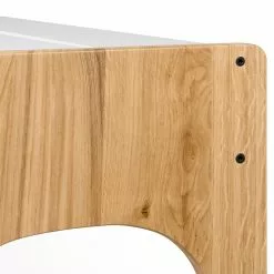 Temahome Schreibtisch Aura - Eiche teilmassiv - Matt Weiß / Eiche -Buromobel Verkaufe 1000214008 200527 06041500008 DETAILS P000000001000214008