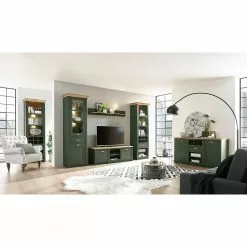 Norrwood Regal Cardet I - Moosgrün / Eiche Wotan Dekor -Buromobel Verkaufe 1000227558 201016 13033800039 MOOD DETAILS P000000001000227558 mood