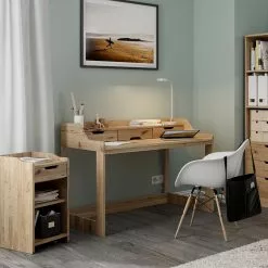 Naturoo Schreibtisch Gracay II - Wildeiche massiv -Buromobel Verkaufe 1000242077 210121 14270700036 MOOD DETAILS P000000001000242077 mood