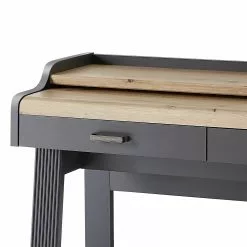 Ridgevalley Sekretär Jasmund - Graphit -Buromobel Verkaufe 1000245000 210504 06305800072 DETAILS P000000001000245000