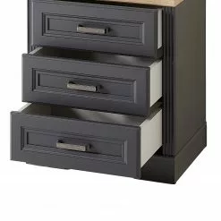 Ridgevalley Rollcontainer Jasmund - Graphit 19 Ridgevalley Rollcontainer Jasmund - Graphit -Buromobel Verkaufe 1000245003 210504 06311300109 DETAILS P000000001000245003