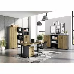 Germania Aktenschrank GW-Profi 2.0 I - Eiche Grandson Dekor / Graphit -Buromobel Verkaufe 1000307874 211109 161640000120 MOOD DETAILS P000000001000307874 mood