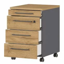 Germania Büroset GW-Agenda II (4-teilig) - Höhenverstellbar - Eiche Grandson Dekor -Buromobel Verkaufe 1000360372 220622 036 DETAILS P000000001000360372