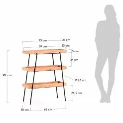 Red Living Regal Beitbridge I - Akazie massiv / Metall - Akazie / Schwarz -Buromobel Verkaufe 1000363959 220714 500 SKETCH DETAILS P000000001000363959 sketch